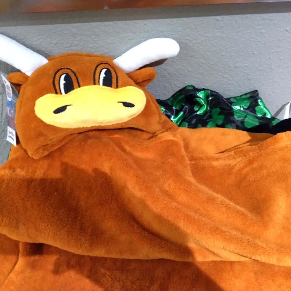 University of Texas hooded blanket